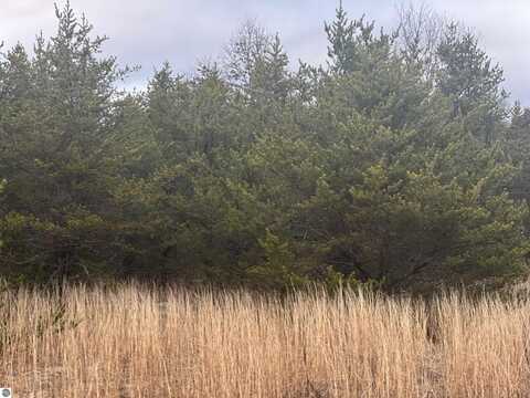2214 E 56th Street, Chase, MI 49623