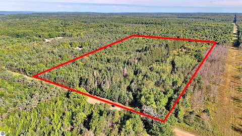 0 Read Road, Copemish, MI 49625