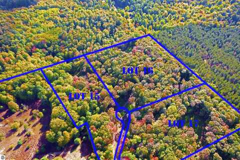 3096 NW Wildflower Lane, Williamsburg, MI 49690