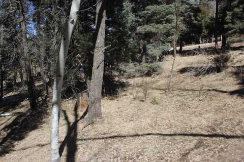 Lot 265 El Camino Real, Angel Fire, NM 87710