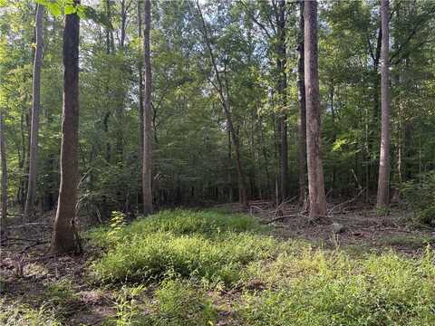 7149 Nature Road, Liberty, NC 27298