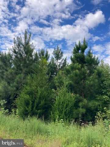 KELLY ROAD, KINSALE, VA 22488