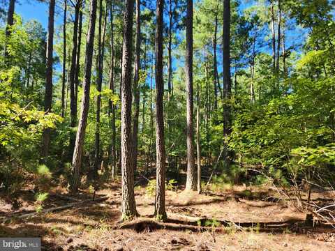 FRESH POND NECK RD, RIDGE, MD 20680