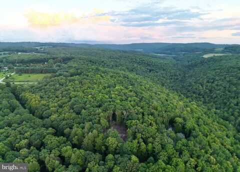 SCENIC DRIVE, GRANTSVILLE, MD 21536