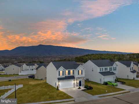 29 SIGNAL KNOB COTTAGE DR, STRASBURG, VA 22657