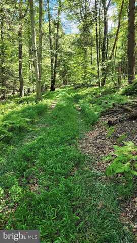 0 SWATARA VALLEY, PINE GROVE, PA 17963