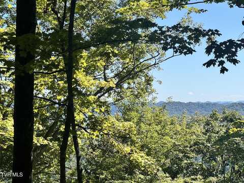 7197 Tazewell Highway, Sneedville, TN 37869