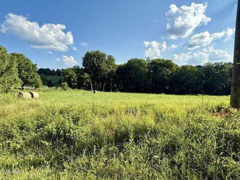 Tbd Horseshoe Bend Road, Jonesborough, TN 37659