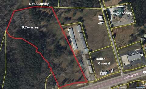 Tract #1 Hwy 79 North, BUCHANAN, TN 38222