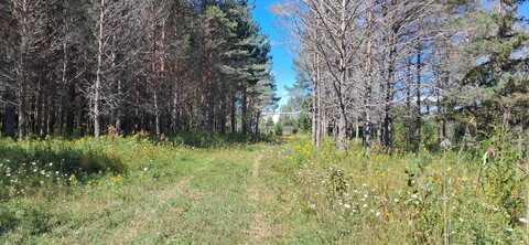 TBD Y.25, Rapid River, MI 49878