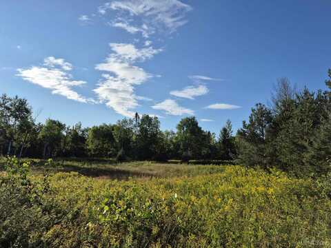 50 Acres M67, Trenary, MI 49816
