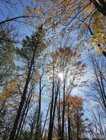 4098 SETTLEMENT, Long Lake, WI 54542