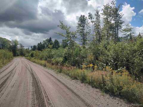 59 Acres Black Creek, Skanee, MI 49962