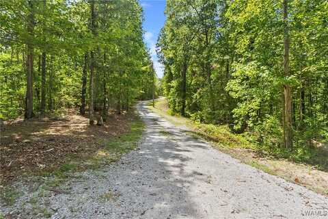 15537 Hillview Road, Coker, AL 35452