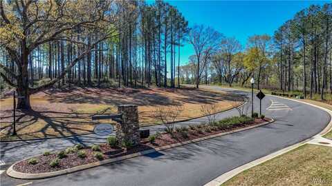 14267 Watercolor Drive, Northport, AL 35475