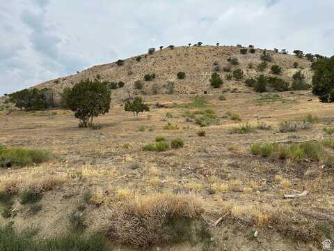 19415 N 7150 E, Mount Pleasant, UT 84647