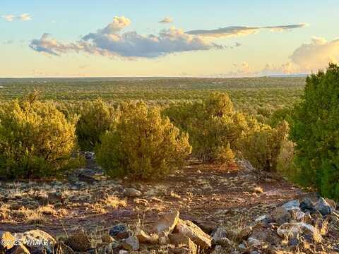 0 WEBER RD. LOT A 5 ACRES, Show Low, AZ 85901