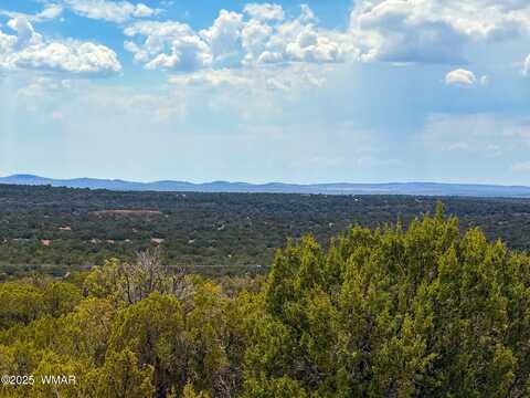 0 WEBER RD. LOT A 5 ACRES, Show Low, AZ 85901
