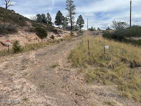 6374 Old Forest Trail, Show Low, AZ 85901