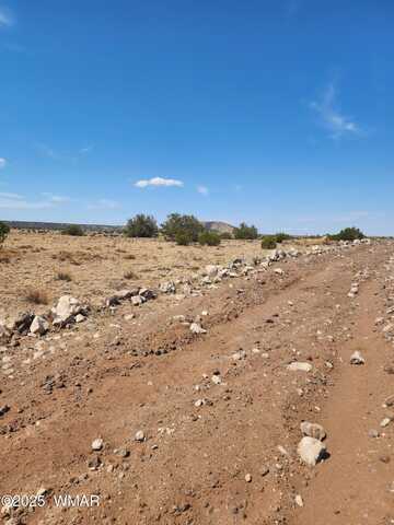 Tbd 202C, Concho, AZ 85924