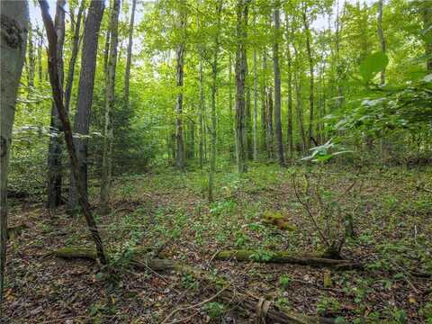 0 McClain, Chippewa Twp, PA 15010