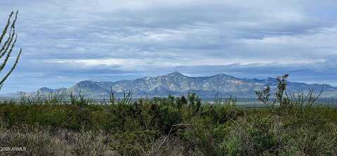 Lots 3 & 4 S Lonesome Drive, Hereford, AZ 85615