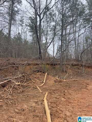 0 RIDLEY UPPER ROAD, HEFLIN, AL 36264