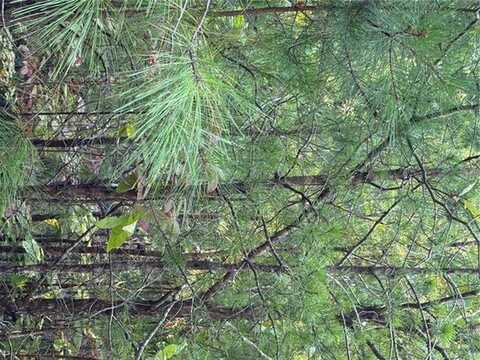 0 Lot 18 Skyline Drive, Rockmart, GA 30153