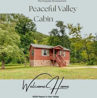 1009 Peace In The Valley Road, Blue Eye, MO 65611