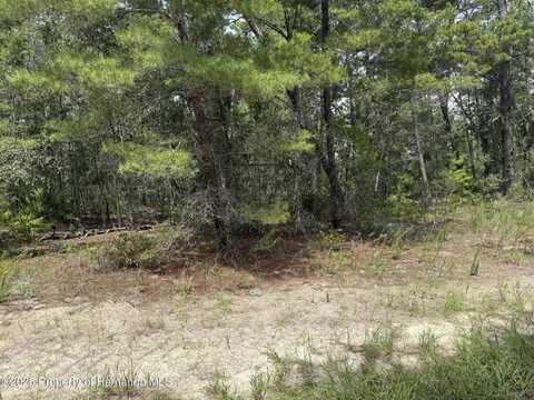 20 Aylssum Court, Homosassa, FL 34446