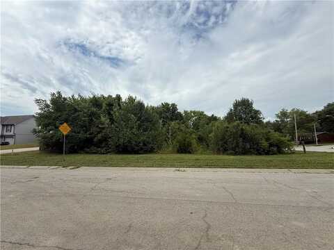 NE 113th Street, Kansas City, MO 64155