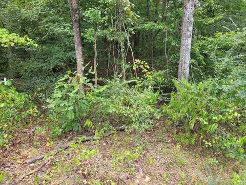 12 HAWTHORNE, Savannah, TN 38372