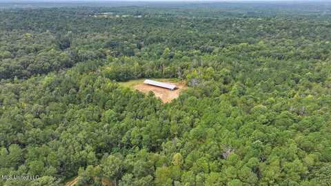 255 Everett Church Road, Mendenhall, MS 39114