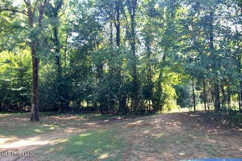 145 Annandale Golf Club Dr 'B' Drive, Madison, MS 39110