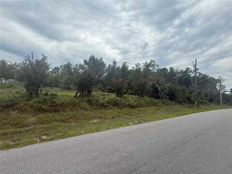 31514 DIVISION STREET, DELAND, FL 32720
