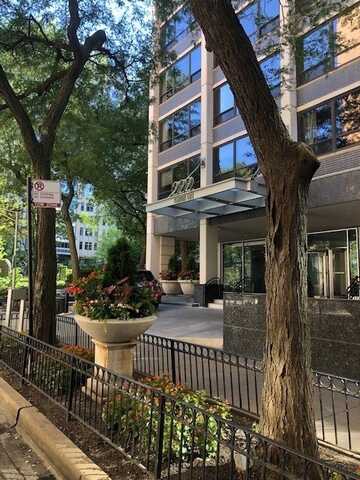 222 E Pearson Street, Chicago, IL 60611