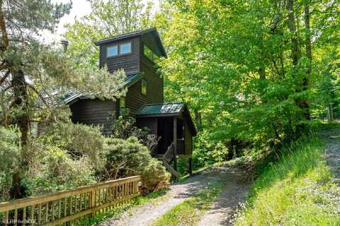 65 Snow Run Road, Davis, WV 26260