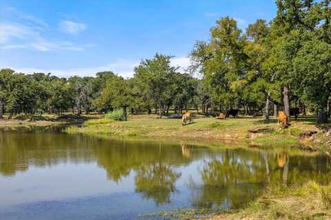 11230 Light Road, Lipan, TX 76462
