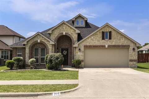 715 Lakeview Drive, Alvarado, TX 76009
