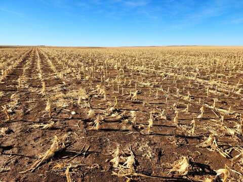 Road 33W, Bushnell, NE 69145