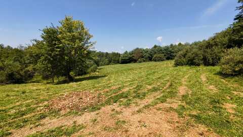 0 Braden Rd, Dexter City, OH 45727