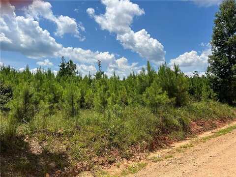 5063 Lee Rd 279, Salem, AL 36874