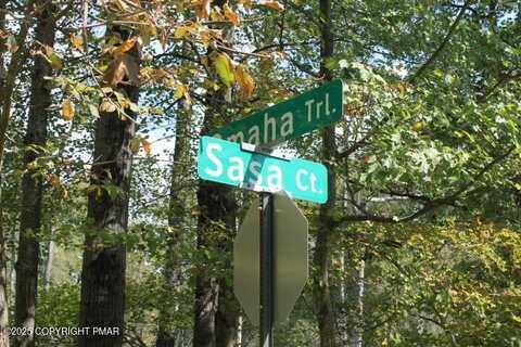 Omaha Trl 21, Pocono Lake, PA 18347