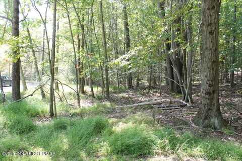 Omaha Trl 22, Pocono Lake, PA 18347