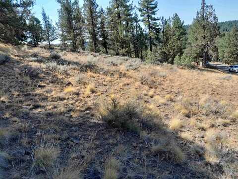 757 Dancing Bears, Portola, CA 96122