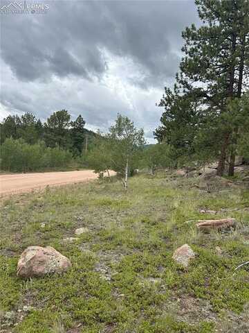 155 County Road 403, Lake George, CO 80827