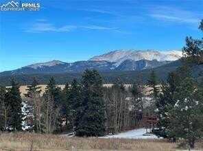 106 Stephanie Place, Divide, CO 80814