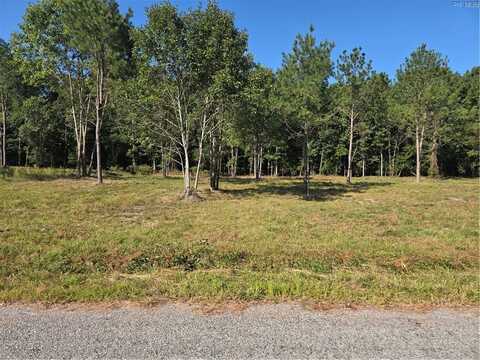 Lot 6 Sandy Hill Road, Courtland, VA 23837