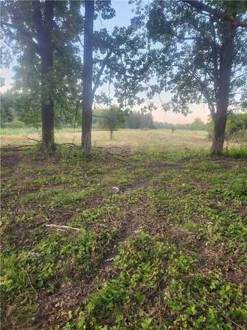 Tbd 401st Avenue NW, Dalbo Twp, MN 55017