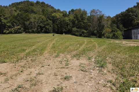 63.86 AC Glasgow Road, Burkesville, KY 42717